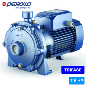 2CP 40/180B – dreiphasige elektrische Kreiselpumpe mit zwei Laufrädern und 7,5 PS Pedrollo - 1