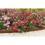 Borde Corten H100 entrelazado simple de 20 m con clavijas Mat - 5