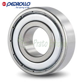Cuscinetto a sfera 6305 25x62x17 mm per Pedrollo