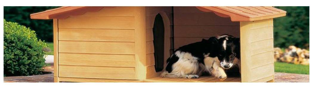 Cucce per cani