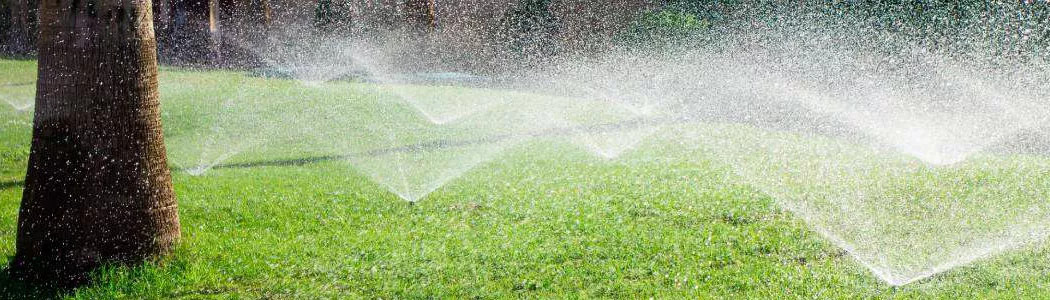 Garden irrigation